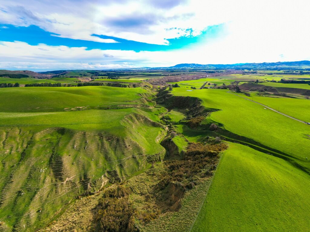 Mt Cass located in Waipara, selling Wiltshire Sheep in Canterbury