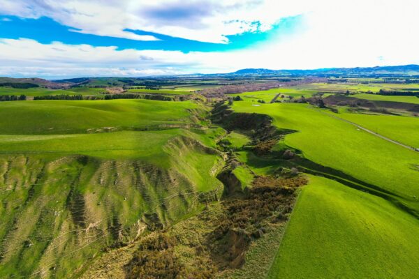 Mt Cass located in Waipara, selling Wiltshire Sheep in Canterbury