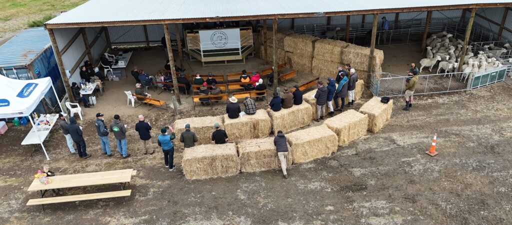 Mt_Cass_Wiltshire-dji_fly_20251124_135136_0224_1764297299832_photo